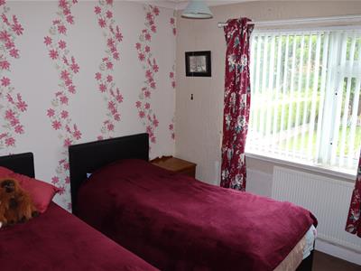 Picture 11
